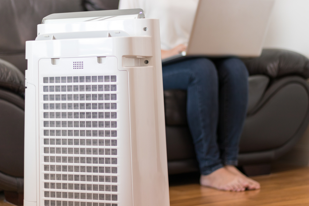 What You Need to Know About Air Purifiers